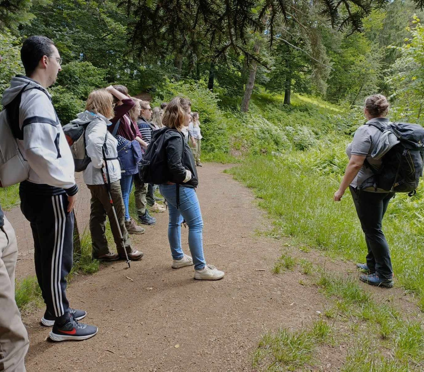 Connaître la Chaîne des Puys-faille de Limagne avec le Parc naturel régional des Volcans d'Auvergne