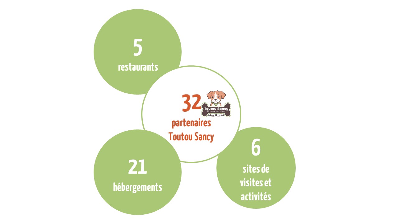 Bilan été 2025 : partenaires Toutou Sancy